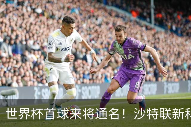 世界杯首球来将通名！沙特联新科金靴 力压C罗本泽马